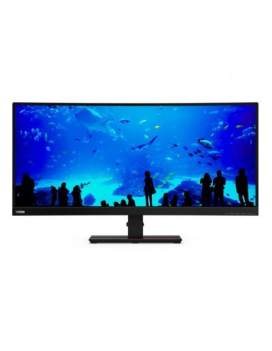 Lenovo Thinkvision T34w-20 34" Curved