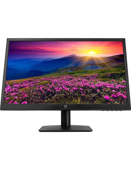 22y hp monitor